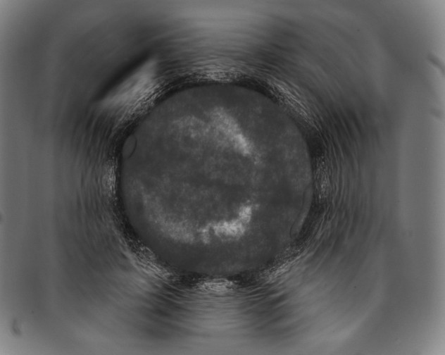 X0000095110595200801041202