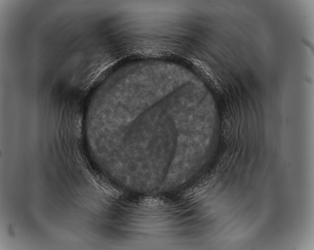 X0000095110596200801041202
