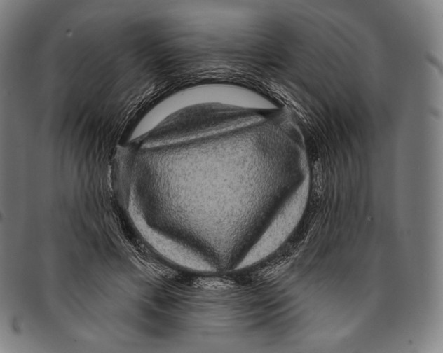 X0000095110597200801041202
