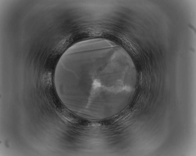 X0000095110598200801041202