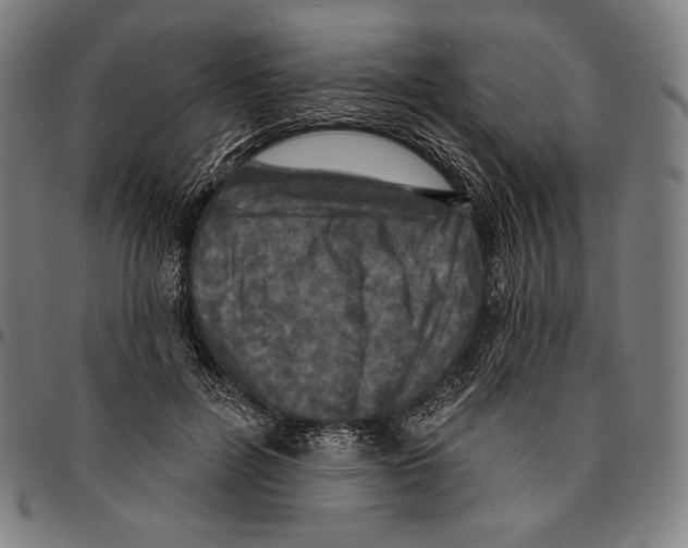 X0000095110600200801041202
