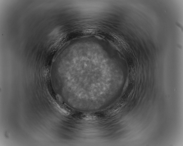 X0000095110601200801041202