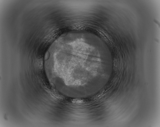 X0000095110602200801041202