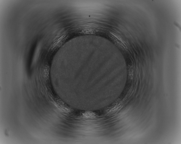 X0000095110603200801041202
