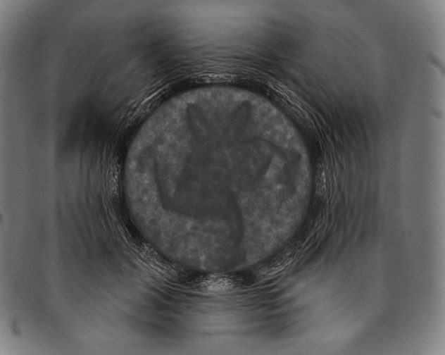 X0000095110604200801041202
