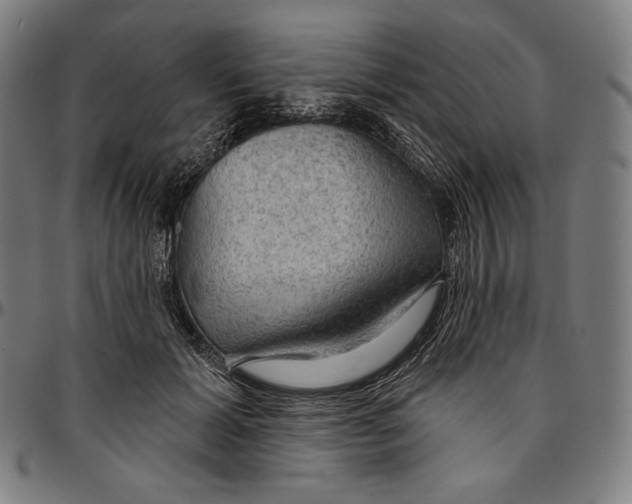 X0000095110605200801041202