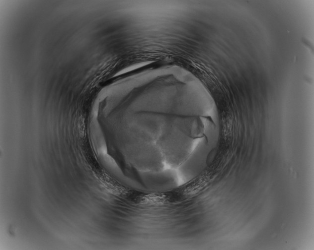 X0000095110606200801041202