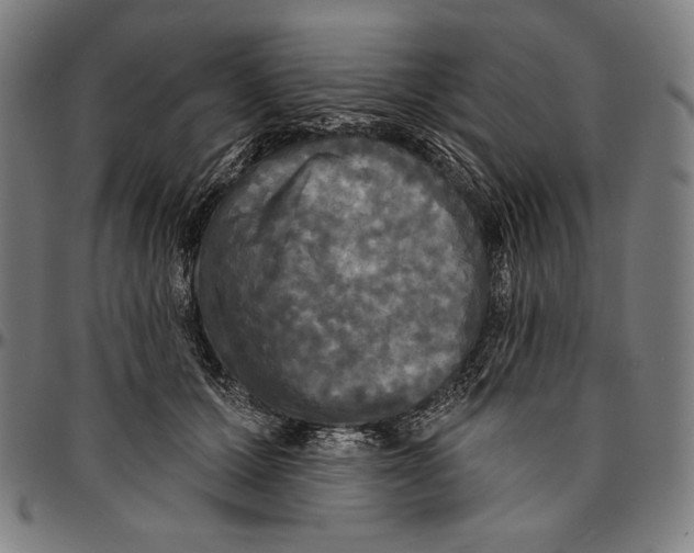 X0000095110607200801041202