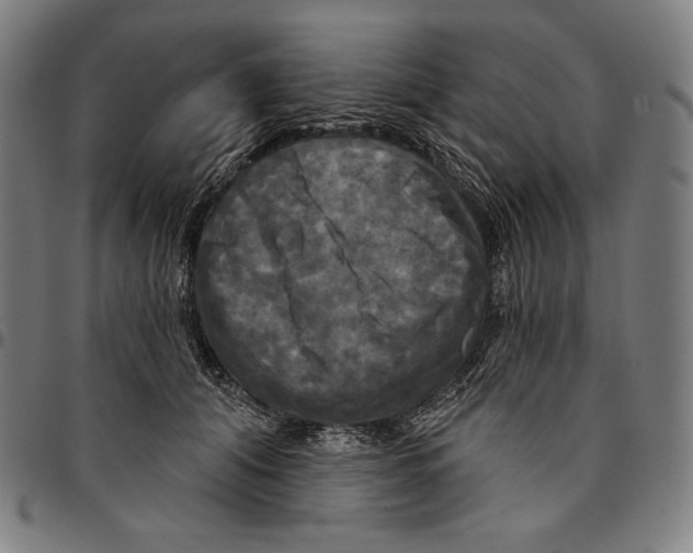 X0000095110608200801041202
