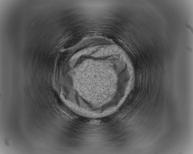 X0000095110609200801041202