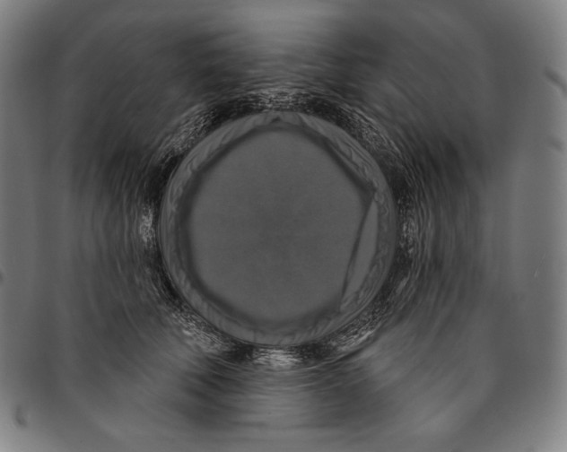 X0000095110610200801041202