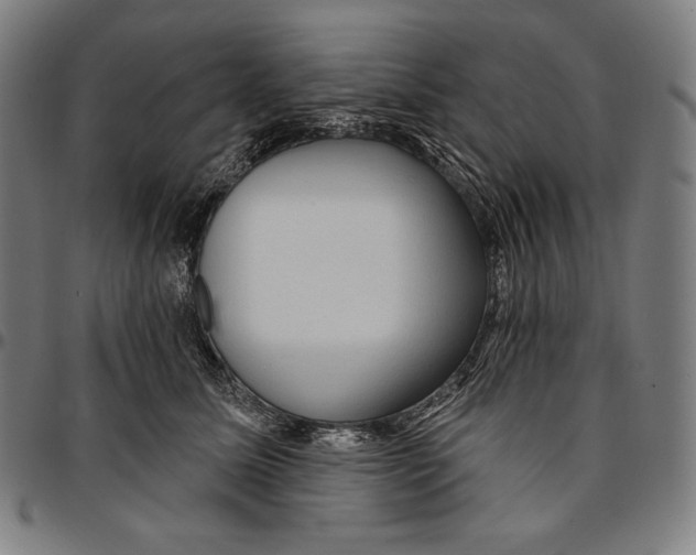 X0000095110611200801041202