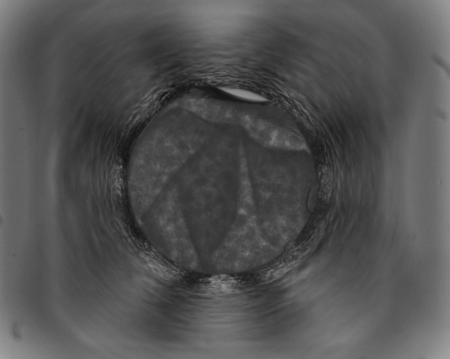 X0000095110612200801041202