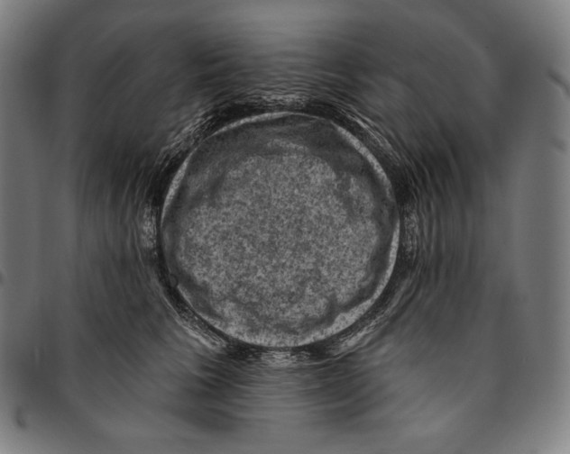 X0000095110613200801041202