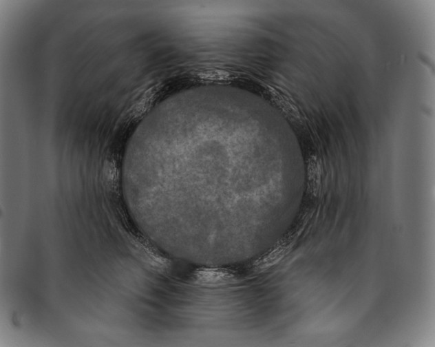 X0000095110614200801041202