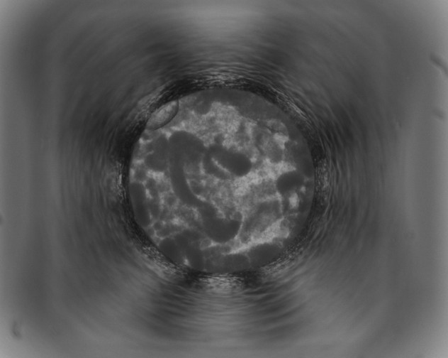 X0000095110615200801041201