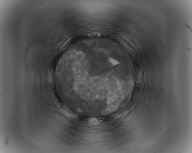 X0000095110616200801041201