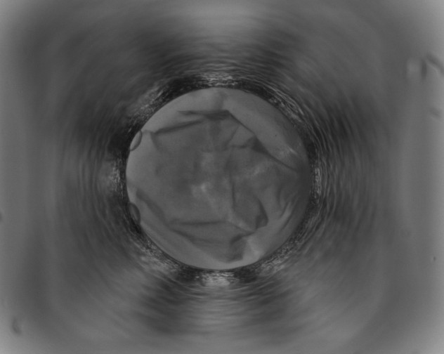 X0000095110618200801041201