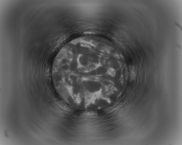 X0000095110619200801041201