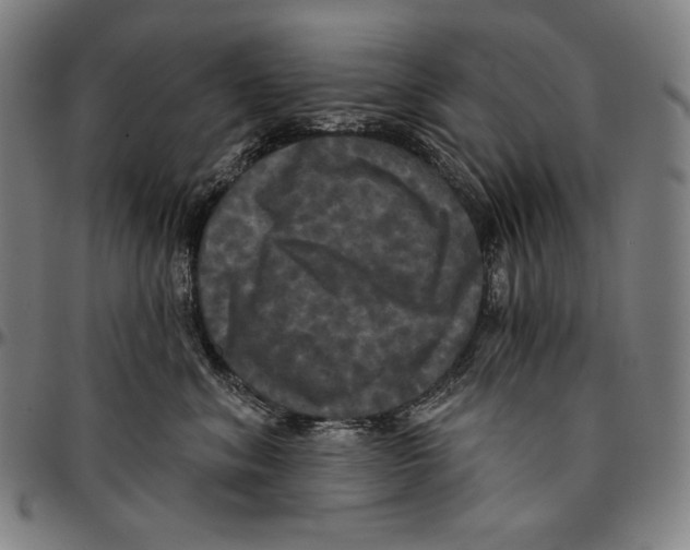 X0000095110620200801041201