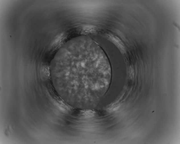 X0000095110621200801041201