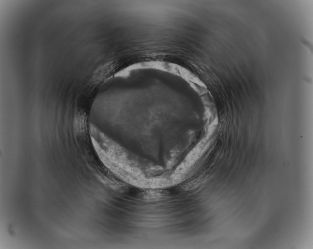 X0000095110623200801041201