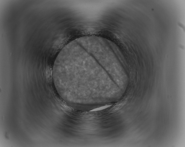 X0000095110624200801041201