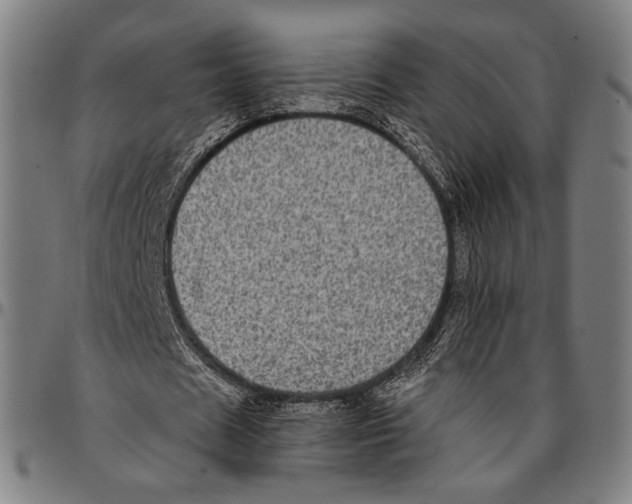 X0000095110625200801041201