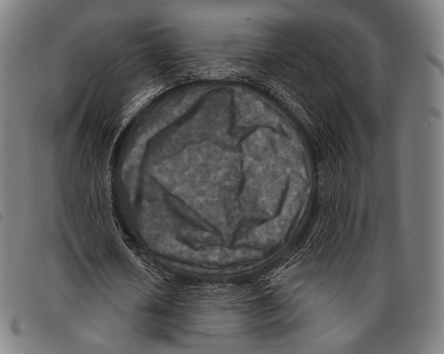 X0000095110626200801041201