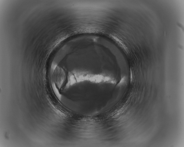 X0000095110627200801041201