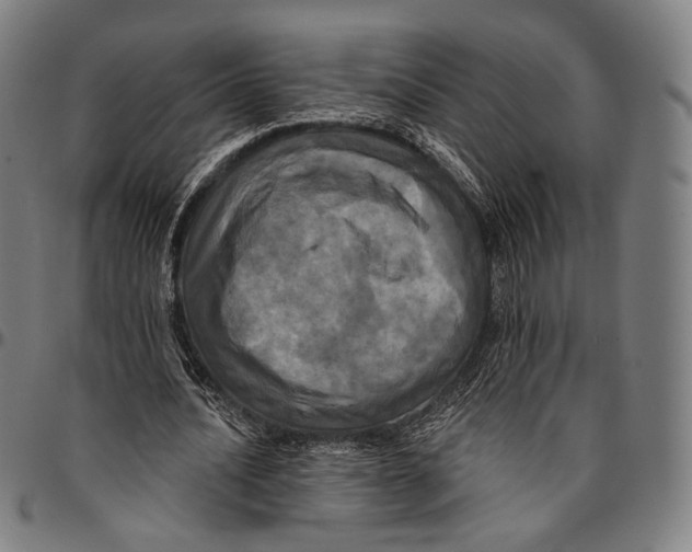 X0000095110628200801041201