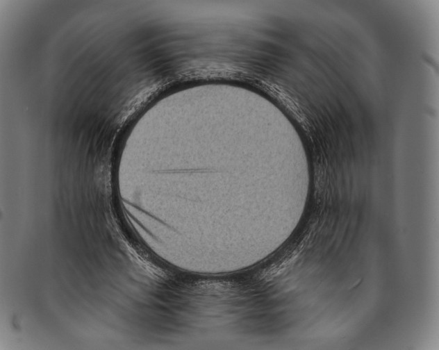 X0000095110629200801041201