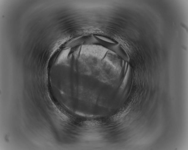 X0000095110630200801041201