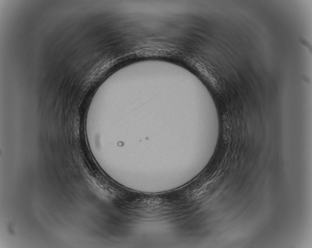 X0000095110631200801041201