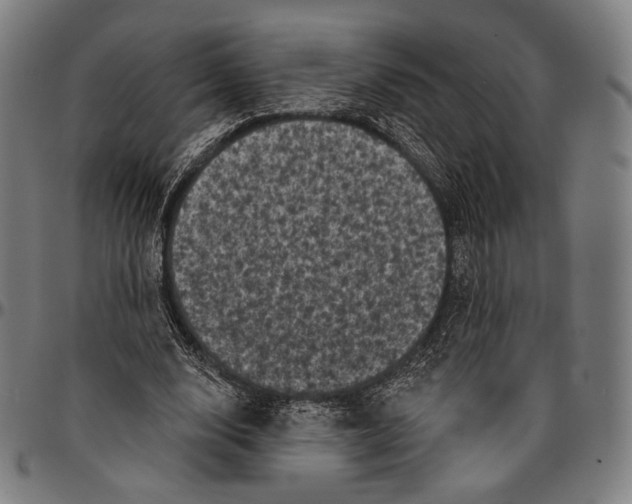 X0000095110632200801041201