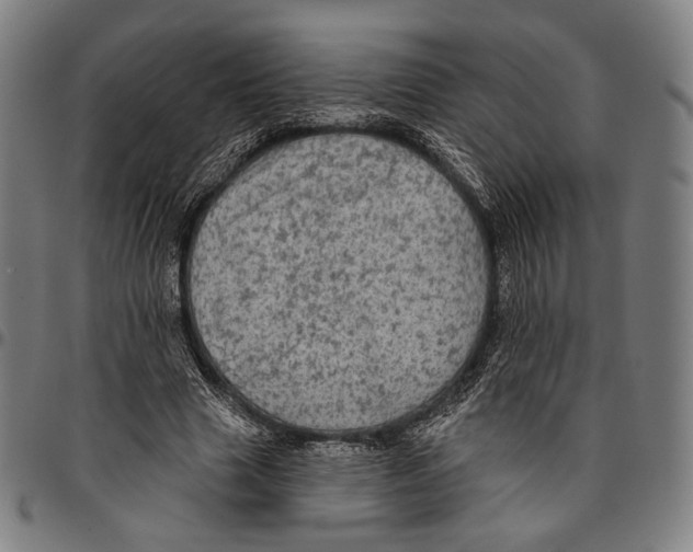 X0000095110633200801041201