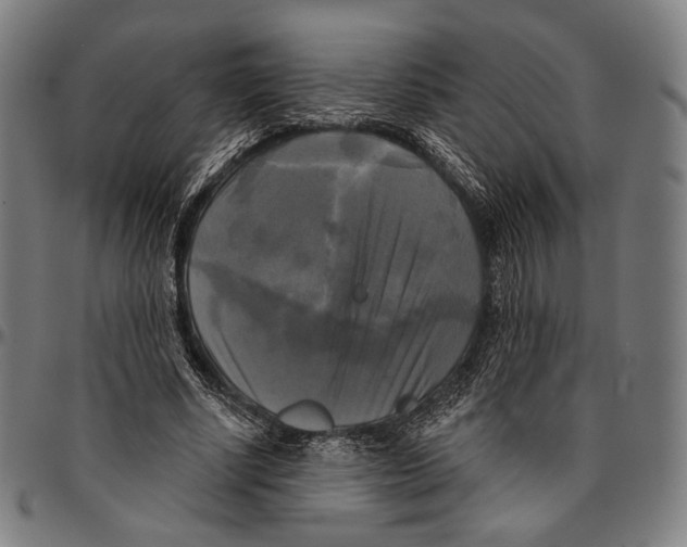 X0000095110634200801041201