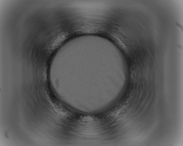 X0000095110635200801041201