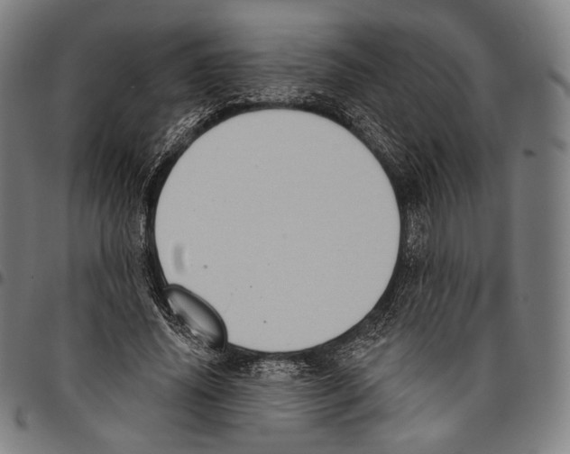 X0000095110636200801041201