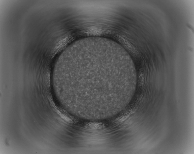 X0000095110638200801041201