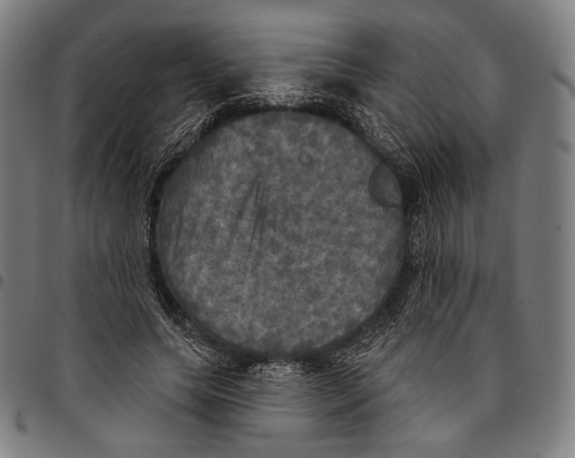 X0000095110639200801041201