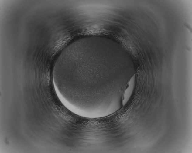 X0000095110640200801041201