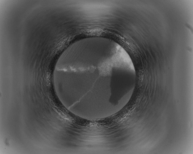 X0000095110641200801041201
