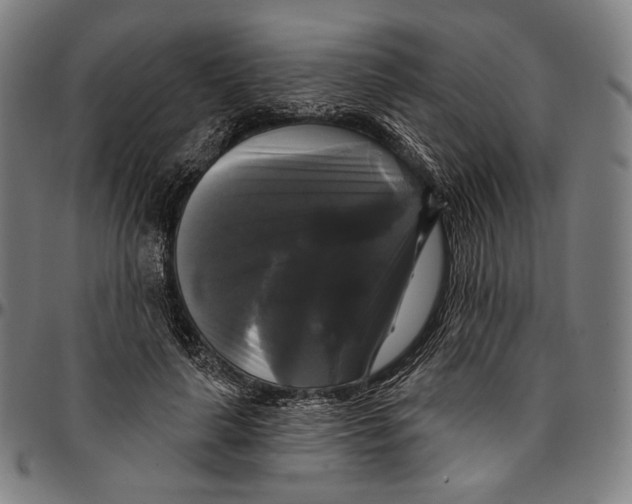 X0000095110643200801041201