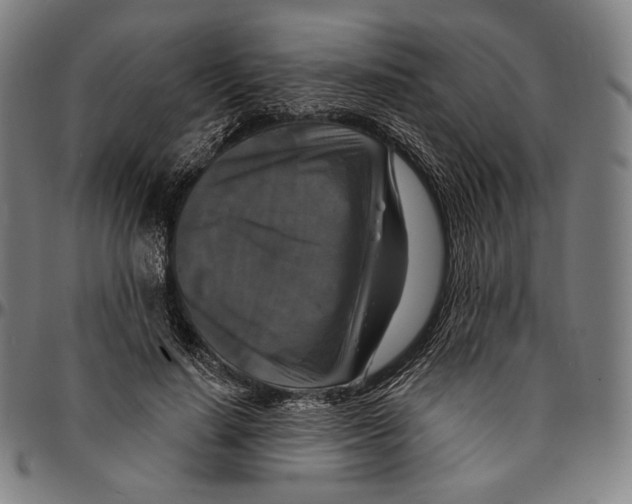 X0000095110644200801041201