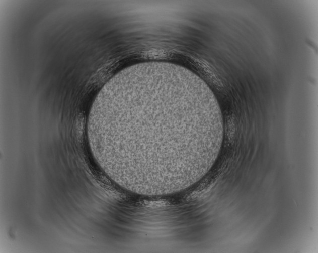 X0000095110645200801041201