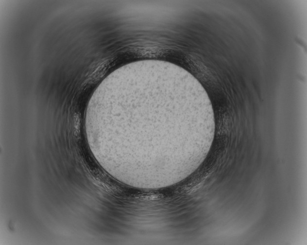 X0000095110646200801041201