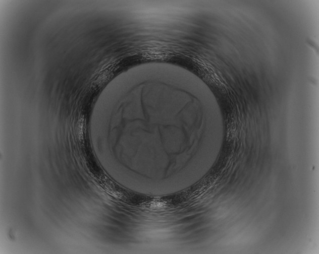 X0000095110647200801041201