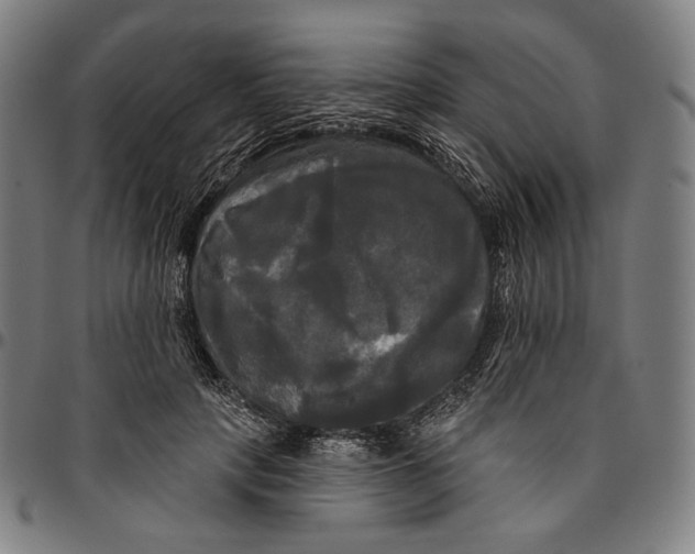 X0000095110649200801041201