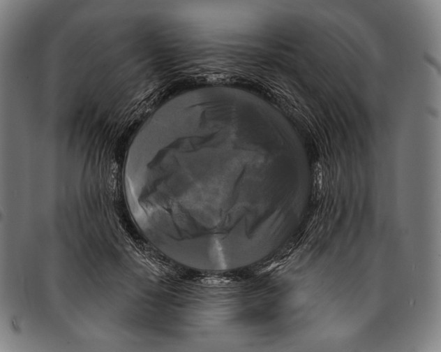X0000095110650200801041201
